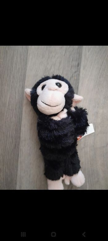 Singe qui pince