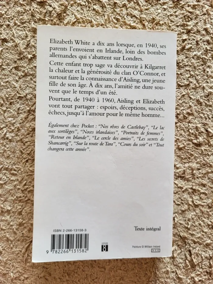 Livre "C'était pourtant l'été" de Maeve Binchy - Roman sentimental et familial - photo numéro 2