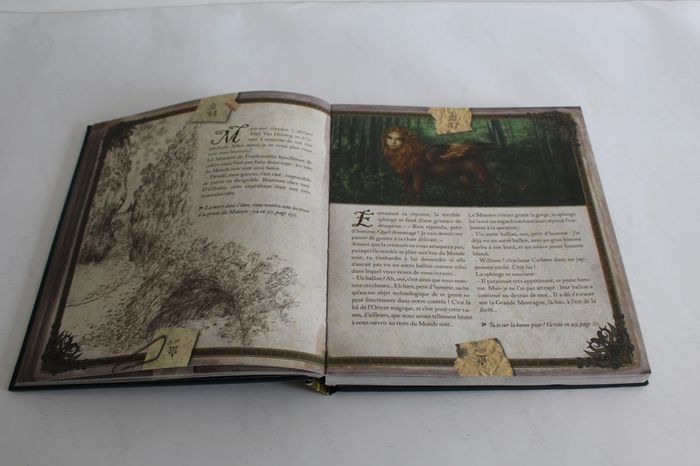 Deux coqs d'or Livre Heros - Quete dans le monde noir - photo numéro 2