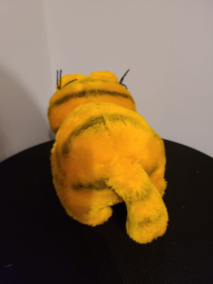 garfield - photo numéro 2