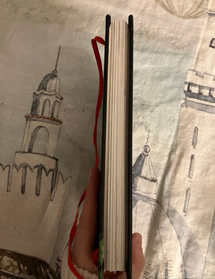 Le boy’s book - photo numéro 5