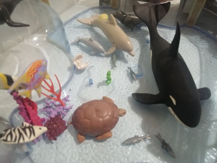Aquarium de otaries playmobil - photo numéro 9