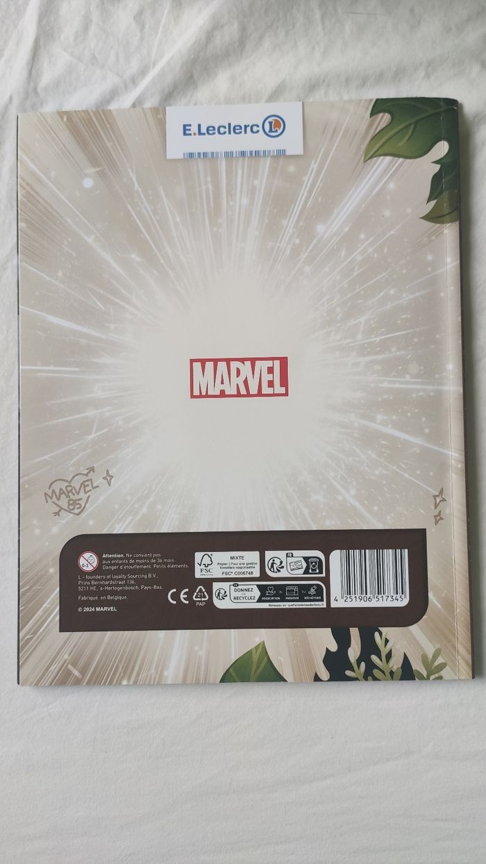 Explore l'univers Marvel avec groot Leclerc - photo numéro 2