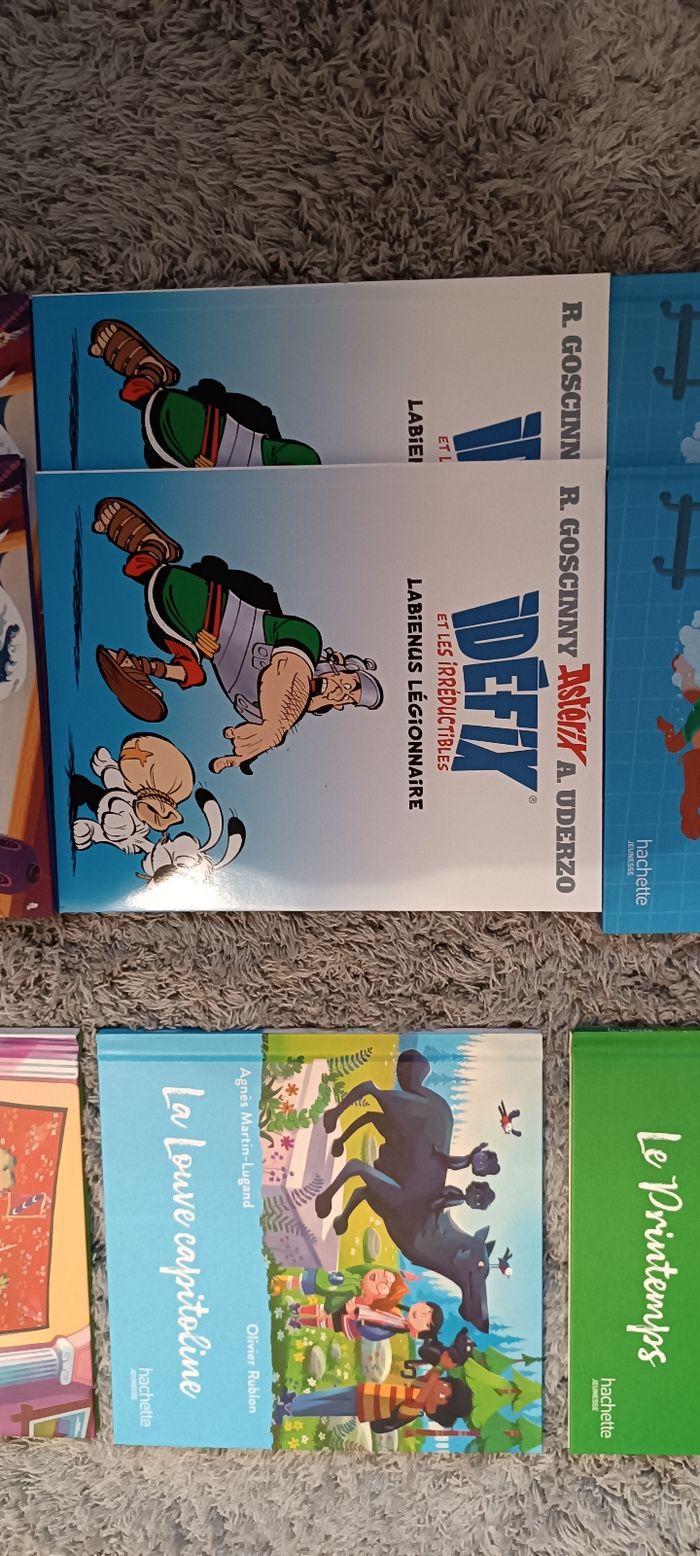 Lot 21 livres - photo numéro 5