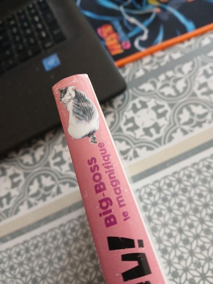 Manga - Miaou ! Big boss le magnifique tome 1 - photo numéro 6
