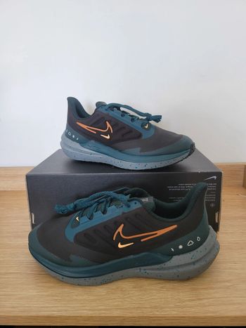Nike Air Winflo Shield T39