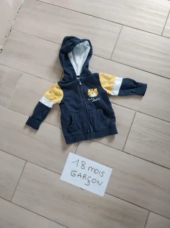 Veste