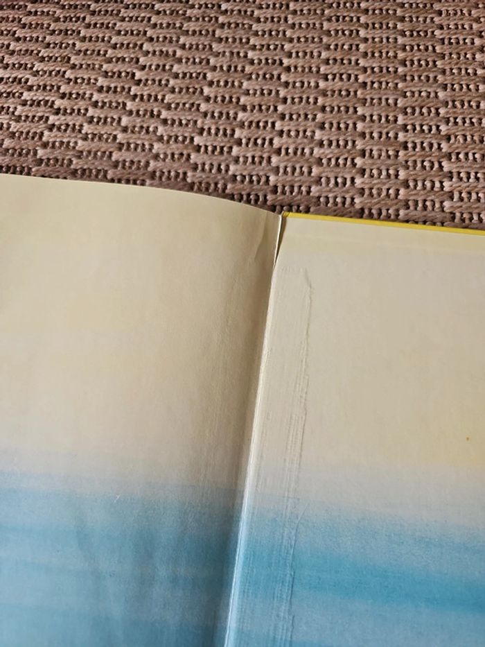 Livre agnes rosenstiehl vintage - photo numéro 12