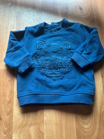 Pull Kenzo
