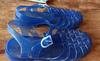 Méduses bleues
