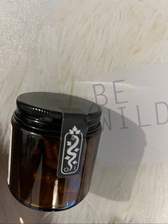 L’officine immortelle - photo numéro 3