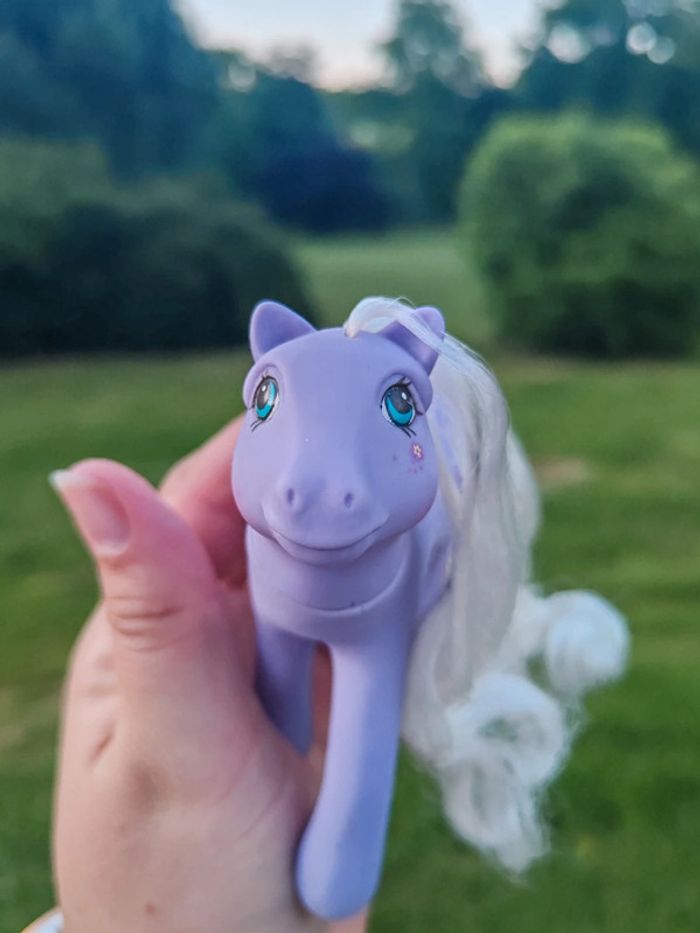Petit poney g1 - flutter forget-me-not - photo numéro 6