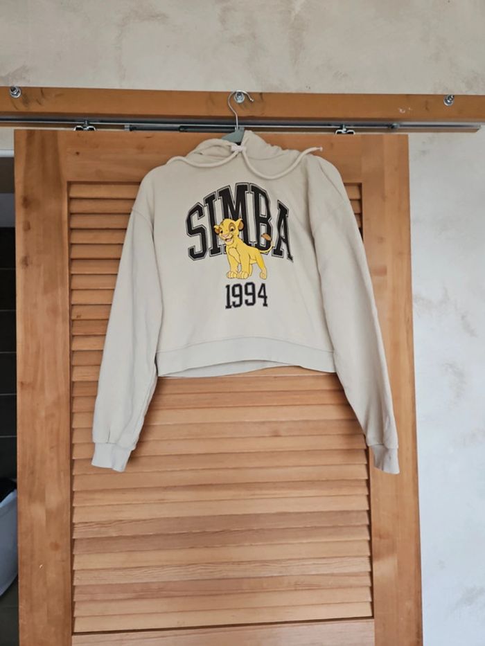 Pull capuche simba