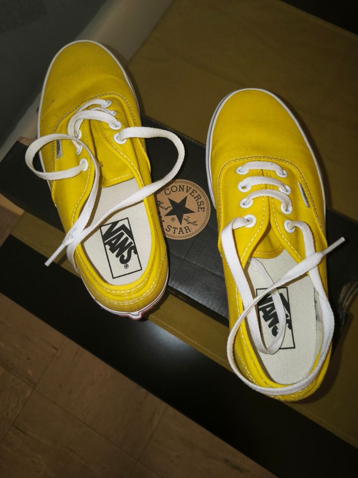 Basket Vans