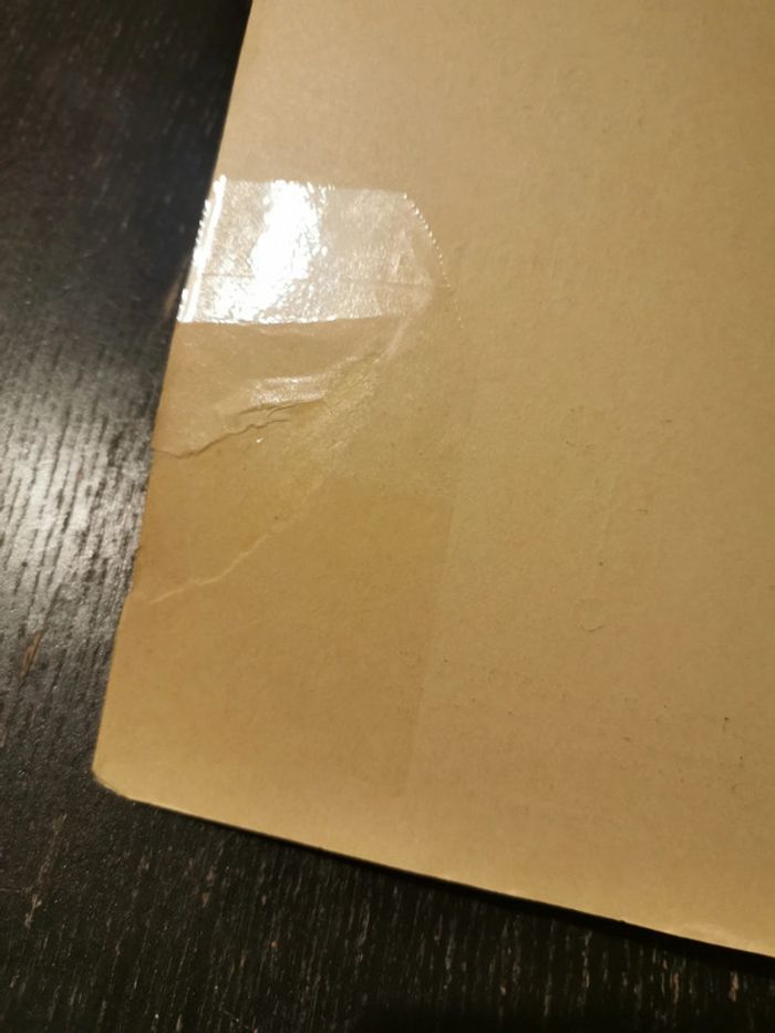 L'Ivresse de Noé. René Vittoz - photo numéro 7