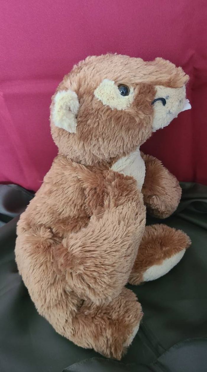 doudou marmotte PACO diffusion sart