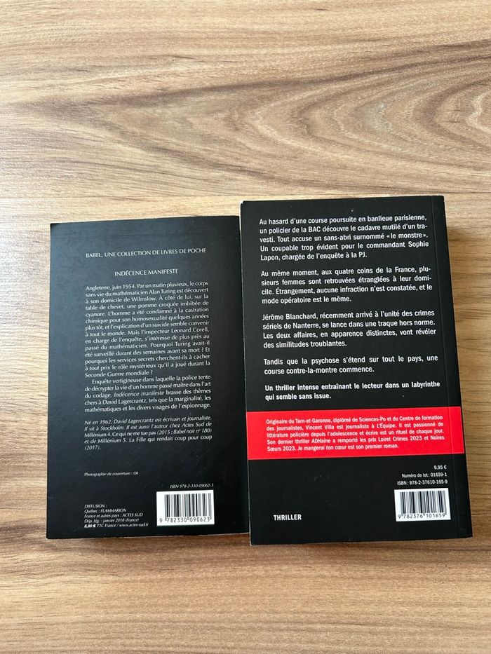 Lot de 2 livres Thriller / Roman Noir - photo numéro 3