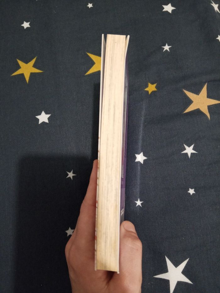 Livre (135) 📚 Cynical Orange - photo numéro 4