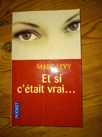 Roman Marc Levy - Et Si c'Etait Vrai