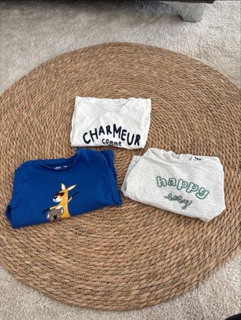 Lots tshirts 24 mois 