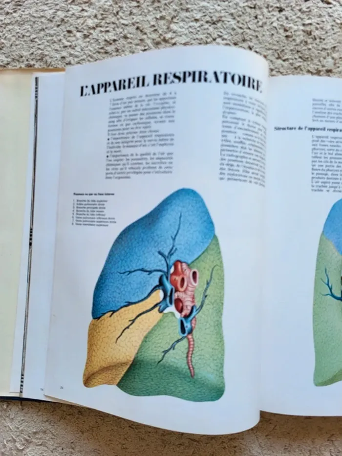 Lot de 4 encyclopédies vintage Famille 2000 - photo numéro 16