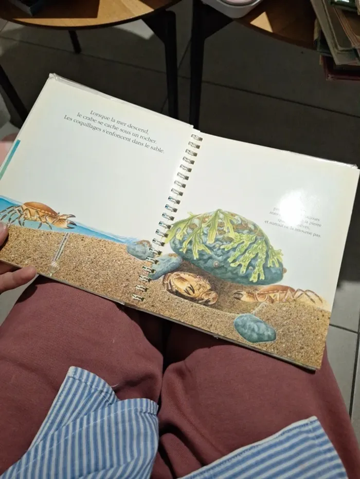 Le bord de mer - photo numéro 2