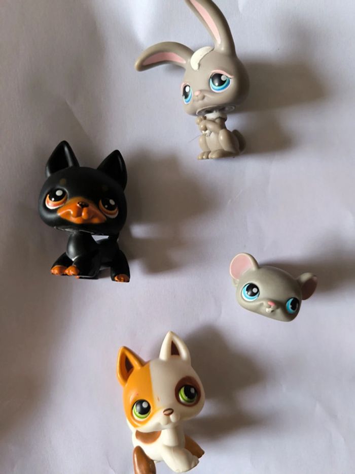 PetShop avec aimant - photo numéro 4