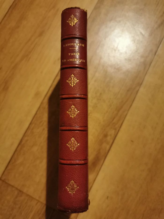 Paris en Amérique, par le docteur René Lefebvre, - photo numéro 8