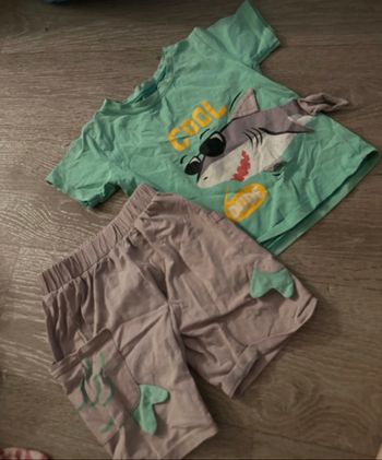 Ensemble requin