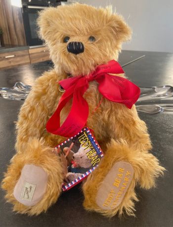 Ours de collection centenary bear de Dean’s