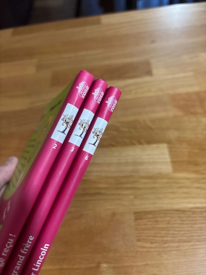 Lot 3 livres Bienvenue chez les Loud - photo numéro 3