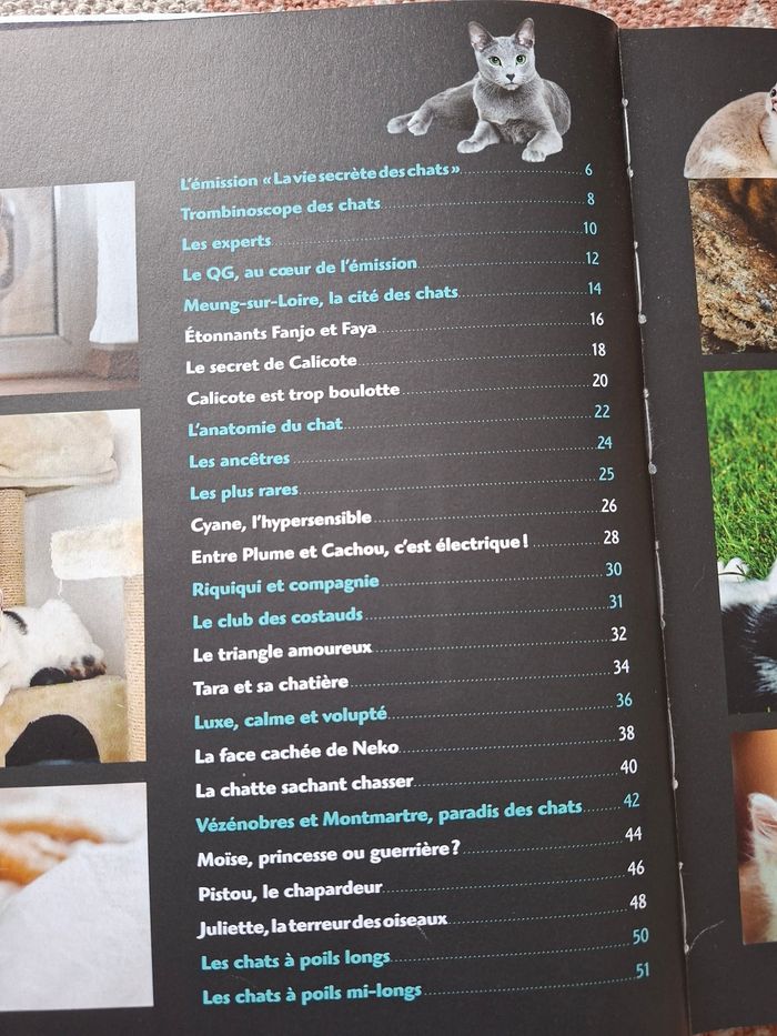 La vie secrète des chats - photo numéro 5