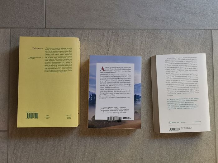 3 Romans Primés Goncourt et Renaudot :Veiller sur elle, La plus secrète mémoire des hommes, Naissance - photo numéro 2