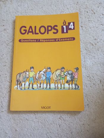 Livre galops 1 à  4 questions/réponses d'examens