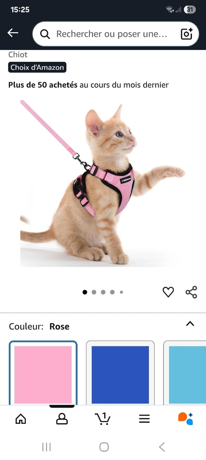 Harnais + laisse petit chat - photo numéro 2