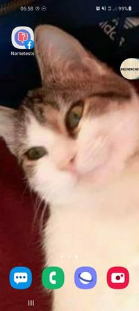 profil