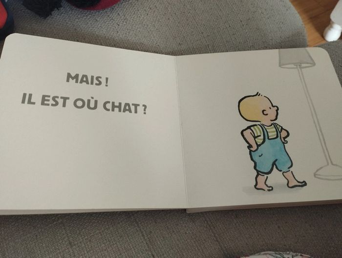 Livre premier âge. Il est où le chat? - photo numéro 3