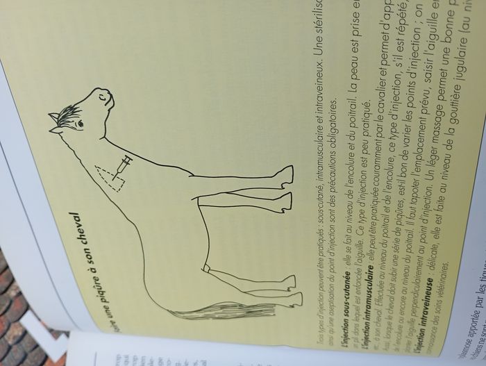 Livre plaisirs et pratiques de l'équitation - photo numéro 7
