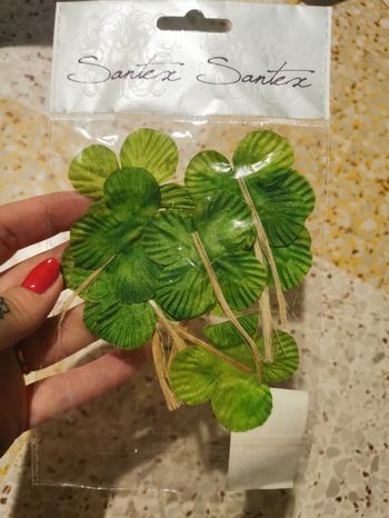 Déco trèfles neuve