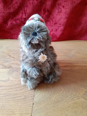 🧸 Marmotte randonnée col du lautaret savoie