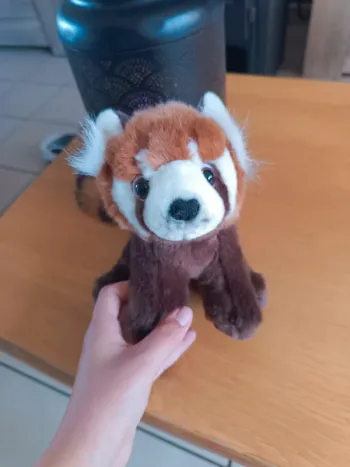 Peluche panda roux