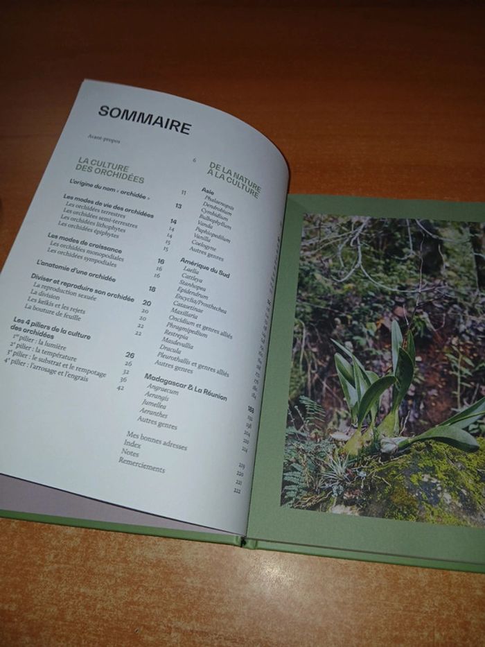 Orchidée guide de culture décomplexé - photo numéro 5