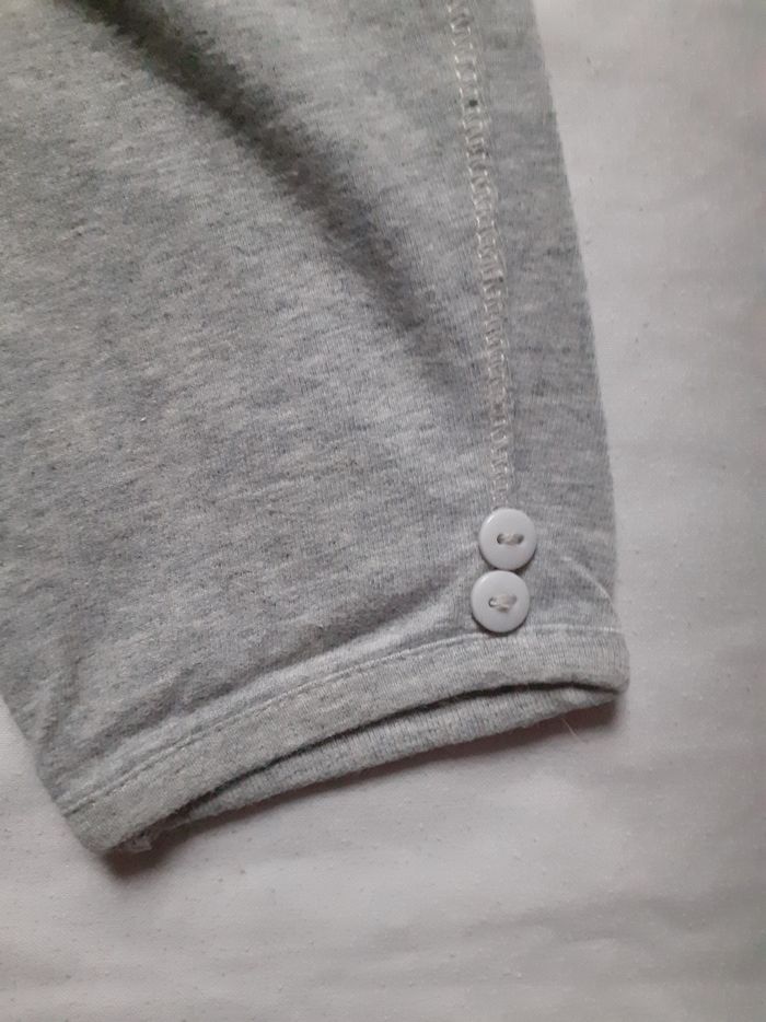 Corsaire gris - photo numéro 2