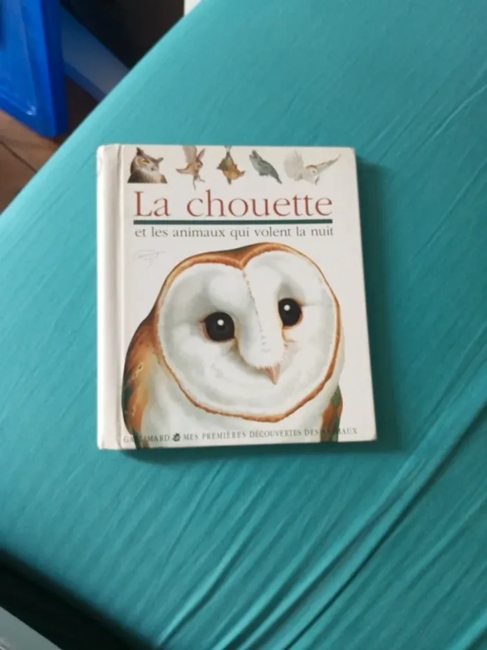 La chouette et animaux qui volent la nuit