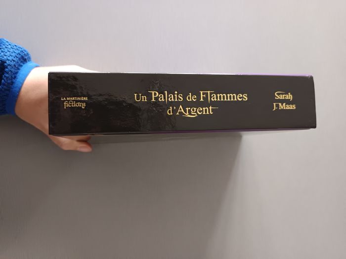 Un palais de flammes d'argent - photo numéro 2