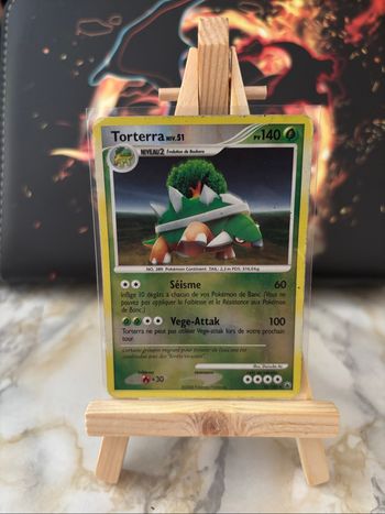 Torterra 30/100