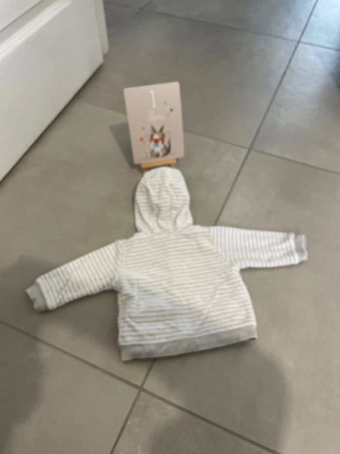 Gilet - photo numéro 5