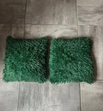 Lot de 2 coussins en plume 40cm x 40cm avec housses vertes déhoussables