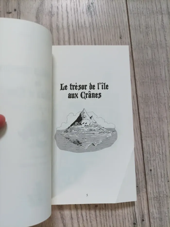 Livre pour enfants : " les terribles aventures de Mélina et Rico" - photo numéro 5