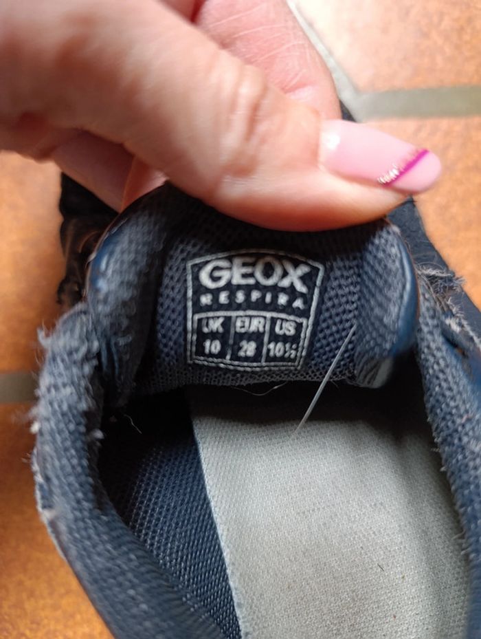 Lot basket geox - photo numéro 9